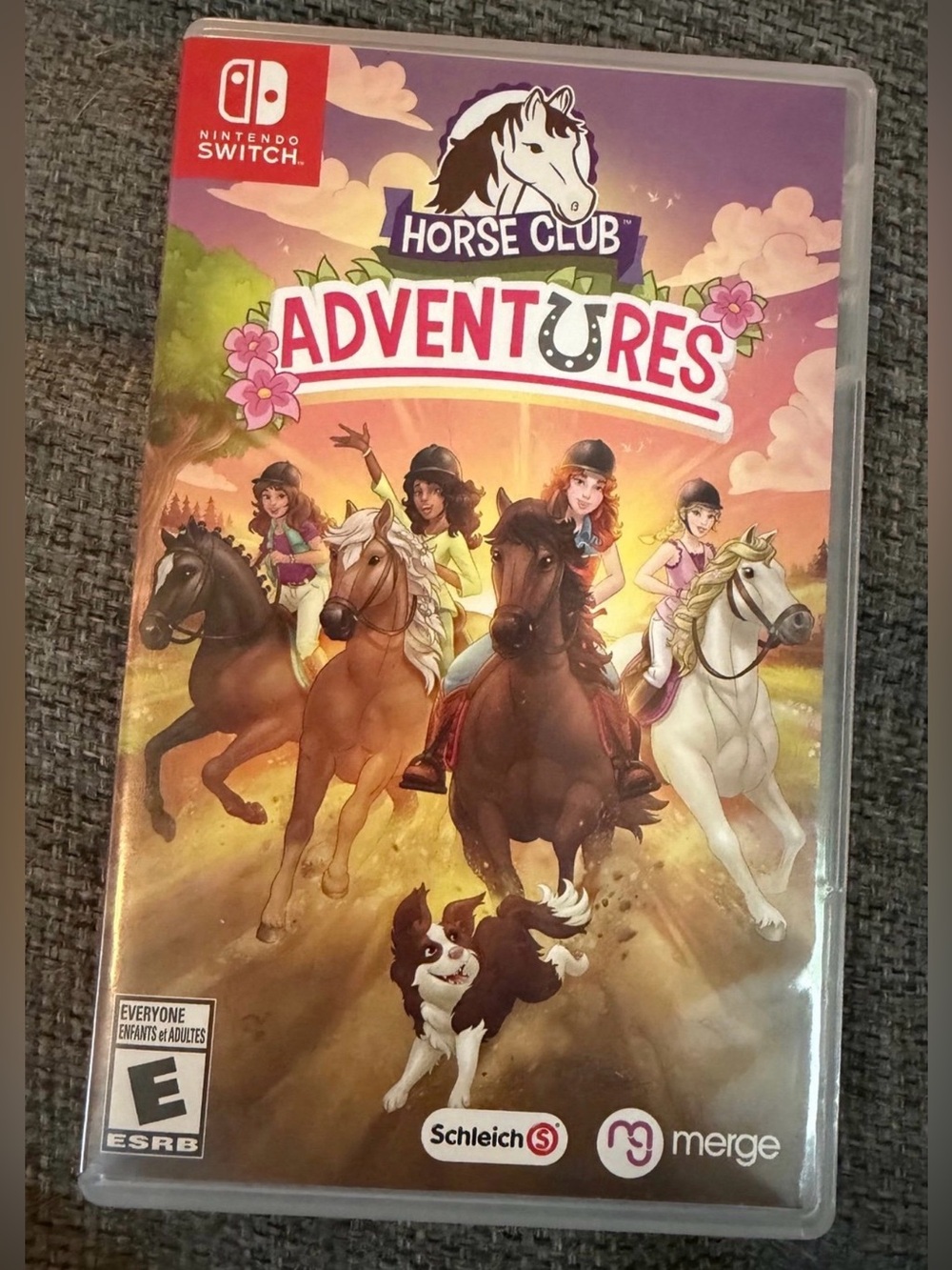 Nintendo Switch Horse Club Adventures Video Game